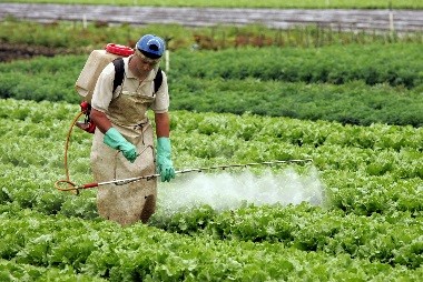 Foto de Japão Longevidade e agroquímicos